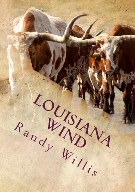 Louisiana Wind by Randy Willis