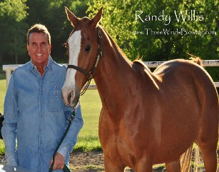 randy willis