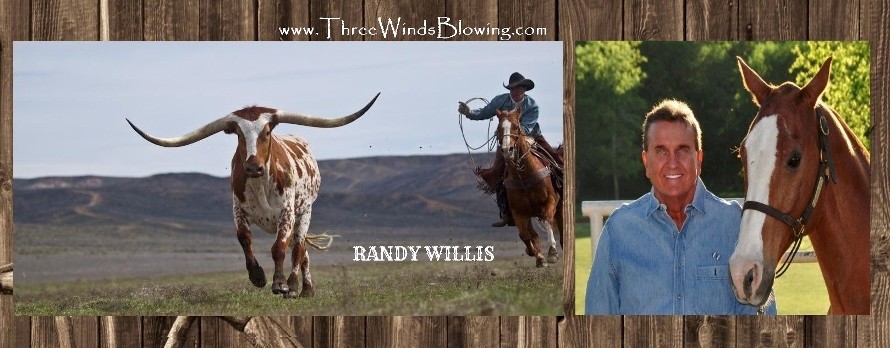 randy willis